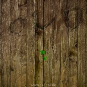 2023-09-15-9A1A1316-Durch