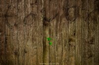 2023-09-15-9A1A1316-Durch