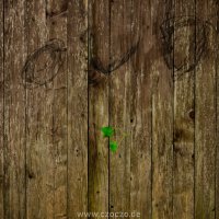 2023-09-15-9A1A1316-Durch