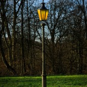 2026-01-17-9A1A6018-Erlaeuchtung