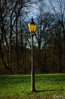 2026-01-17-9A1A6018-Erlaeuchtung