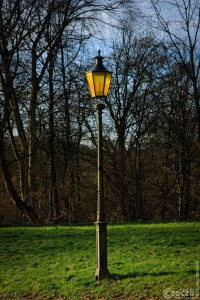 2026-01-17-9A1A6018-Erlaeuchtung