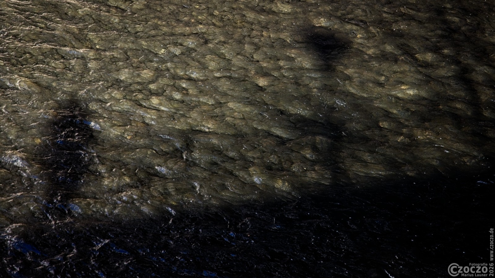 2026-02-15-9A1A6522-Ich