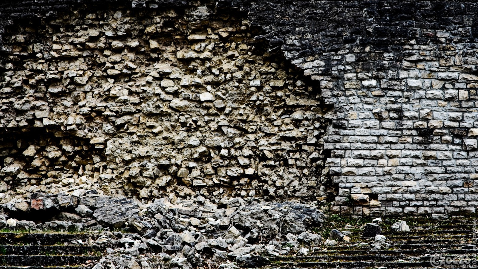 2026-04-14-9A1A7326-2026-Truemmer