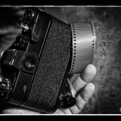 IMG_3366-Analog IMG_3366-Analog