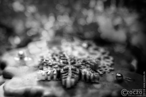 IMG_7619-Weihnachten