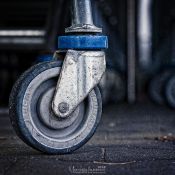 _MG_8554 _MG_8554