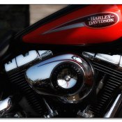 img_2385.jpg