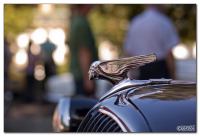 img_2698 img_2698