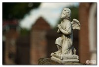 img_4230-engel