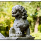 img_6810