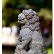 img_6811