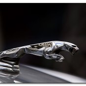 img_9184