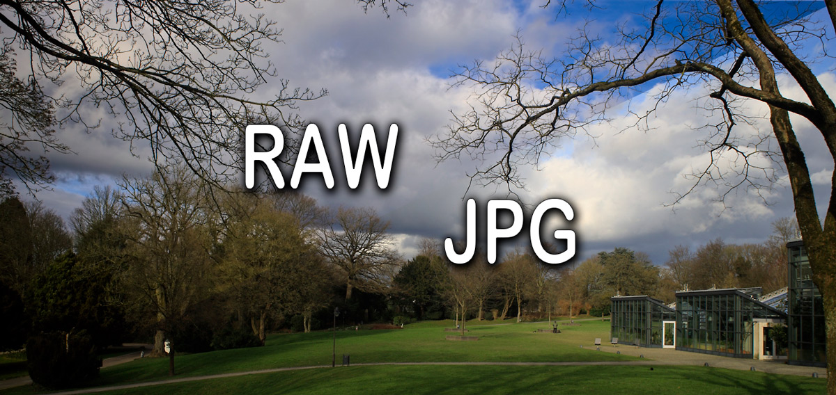 RAW-vs-JPG