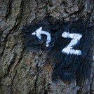20221005-9A1A9832-Z-nach-Links