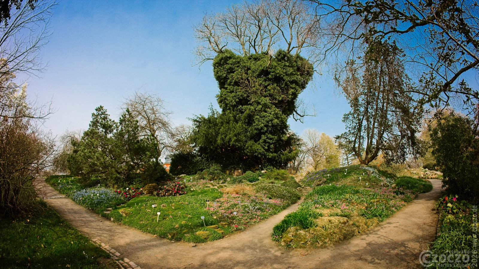 2026-03-23-9A1A6981-2026-Botanische-Garten-Fisheye