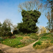 2026-03-23-9A1A6981-2026-Botanische-Garten-Fisheye