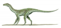 silesaurus_bw.jpg