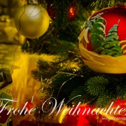 1_20231223-9A1A4072-Frohe-Weihnachten-2023-