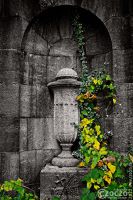 2022-10-15-9A1A0080-ON1-Hoffnung-1