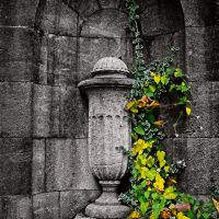 2022-10-15-9A1A0080-ON1-Hoffnung-1