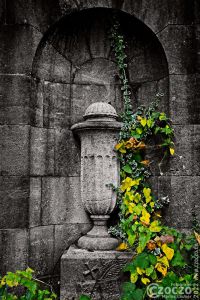 2022-10-15-9A1A0080-ON1-Hoffnung-1