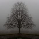 2023-02-11-Gesiter
