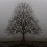 2023-02-11-Gesiter