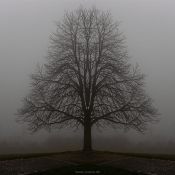 2023-02-11-Gesiter