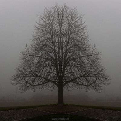 2023-02-11-Gesiter