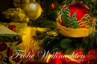 1_20231223-9A1A4072-Frohe-Weihnachten-2023-