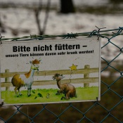20250122-9A1A2491-Bitte-nicht-Fuettern 20250122-9A1A2491-Bitte-nicht-Fuettern