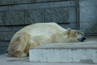 img_4162.jpg