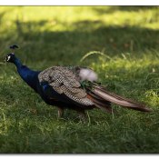 img_6828 img_6828