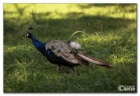 img_6828
