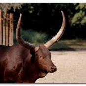 img_6838 img_6838