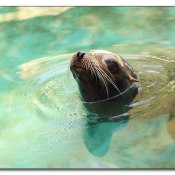 img_6863 img_6863