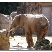img_6945 img_6945