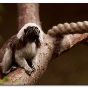 img_6984 img_6984