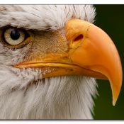 img_7107 img_7107
