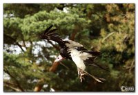 img_7179