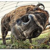 was-kukst-du-img_4638