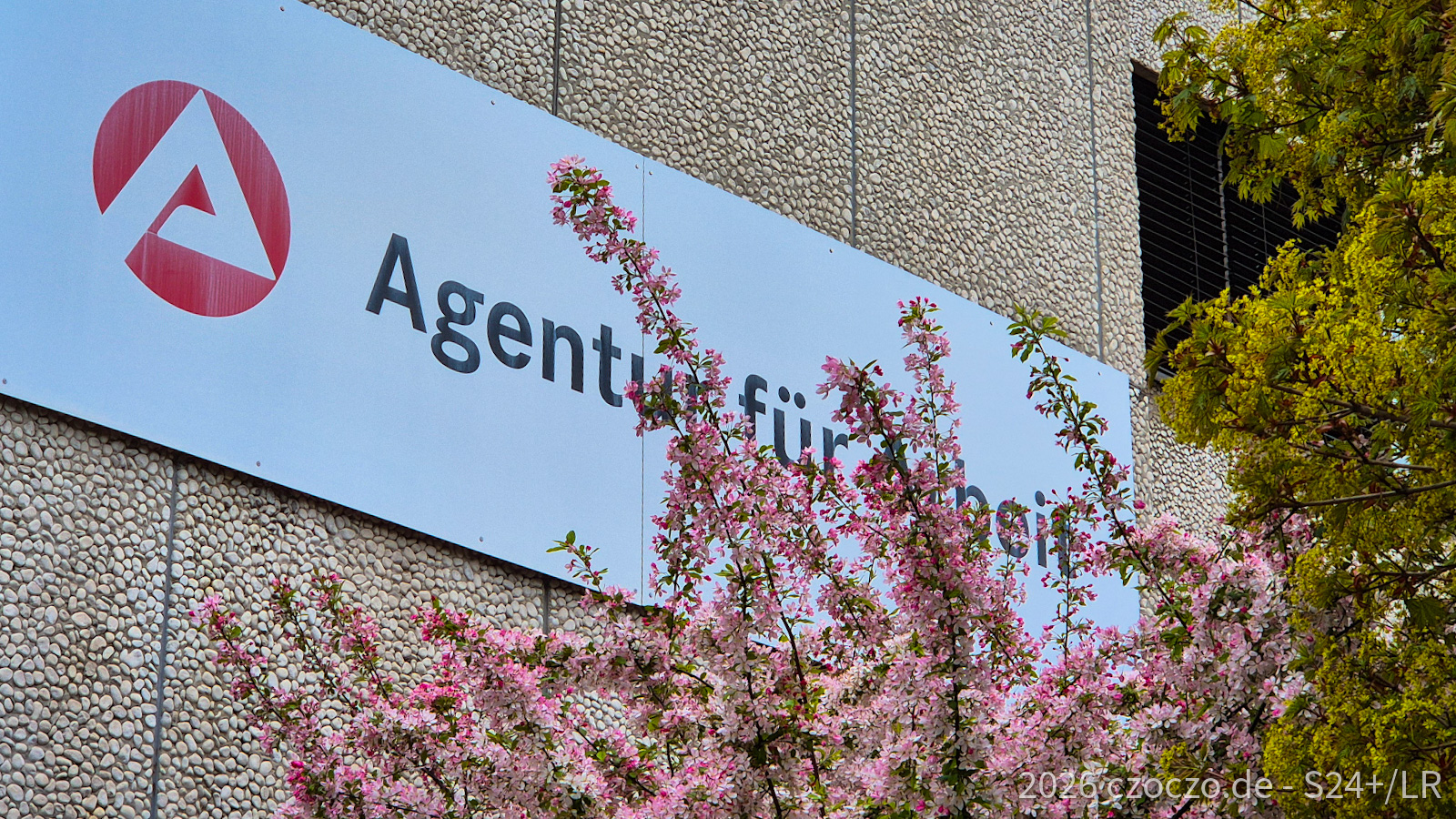 NextGEN Featured Image