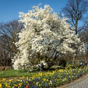 1_20250328-9A1A3019-Nature-Thursday-15