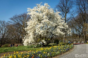 1_20250328-9A1A3019-Nature-Thursday-15