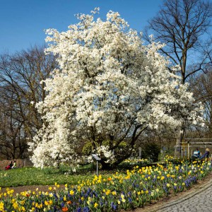 1_20250328-9A1A3019-Nature-Thursday-15