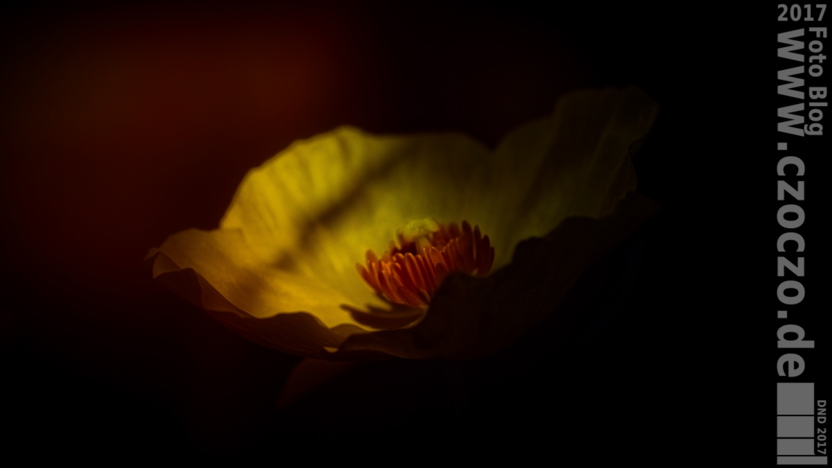 20170605-_MG_3920