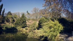 20210331-Fruehling-9A1A1783-Kopie