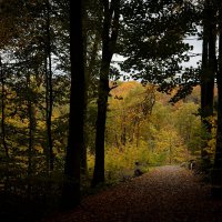 2022-10-21-9A1A0567-ON1-Ronsdorfer-Talsperre-2