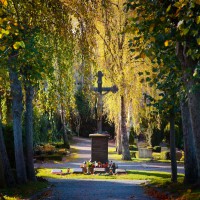 2022-11-01-9A1A1267-Herbst